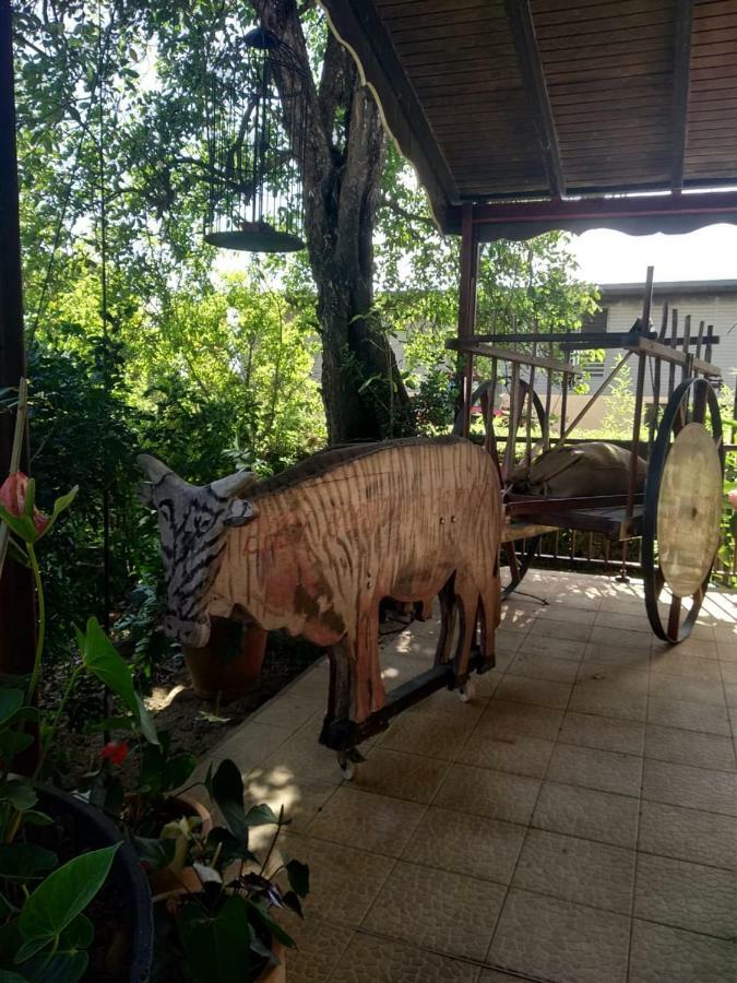 Villa Ti Kaz En Bois Sainte-Rose Exterior foto